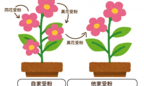 心态不好的人容易得什么病-【心态不好怎么调整自己】心态不好怎么办 - 心态不好容易暴躁网