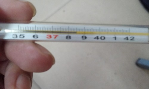 心态不好怎么调理最有效-【心态不好怎么调整自己】心态不好怎么办 - 心态不好容易暴躁网